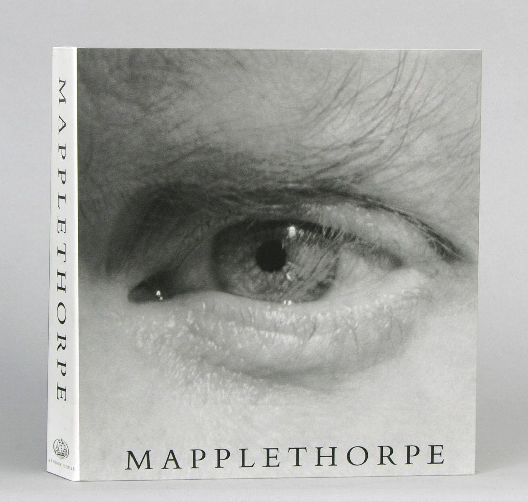 Arthur danto: books image