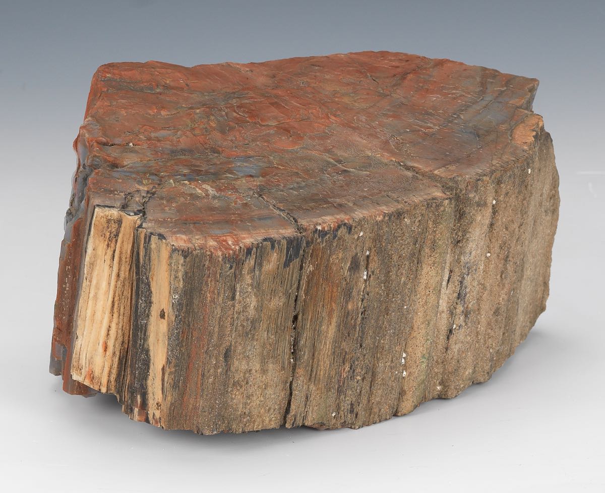 large-piece-of-petrified-wood-04-18-15-sold-184