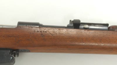 1891 argentine mauser ammo
