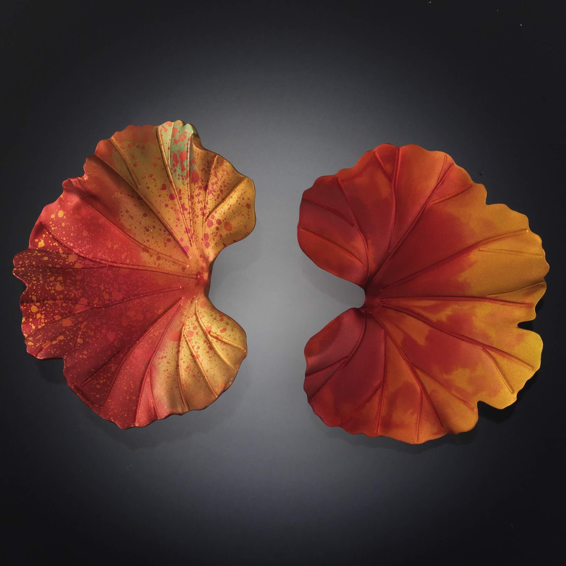 Home Page Image